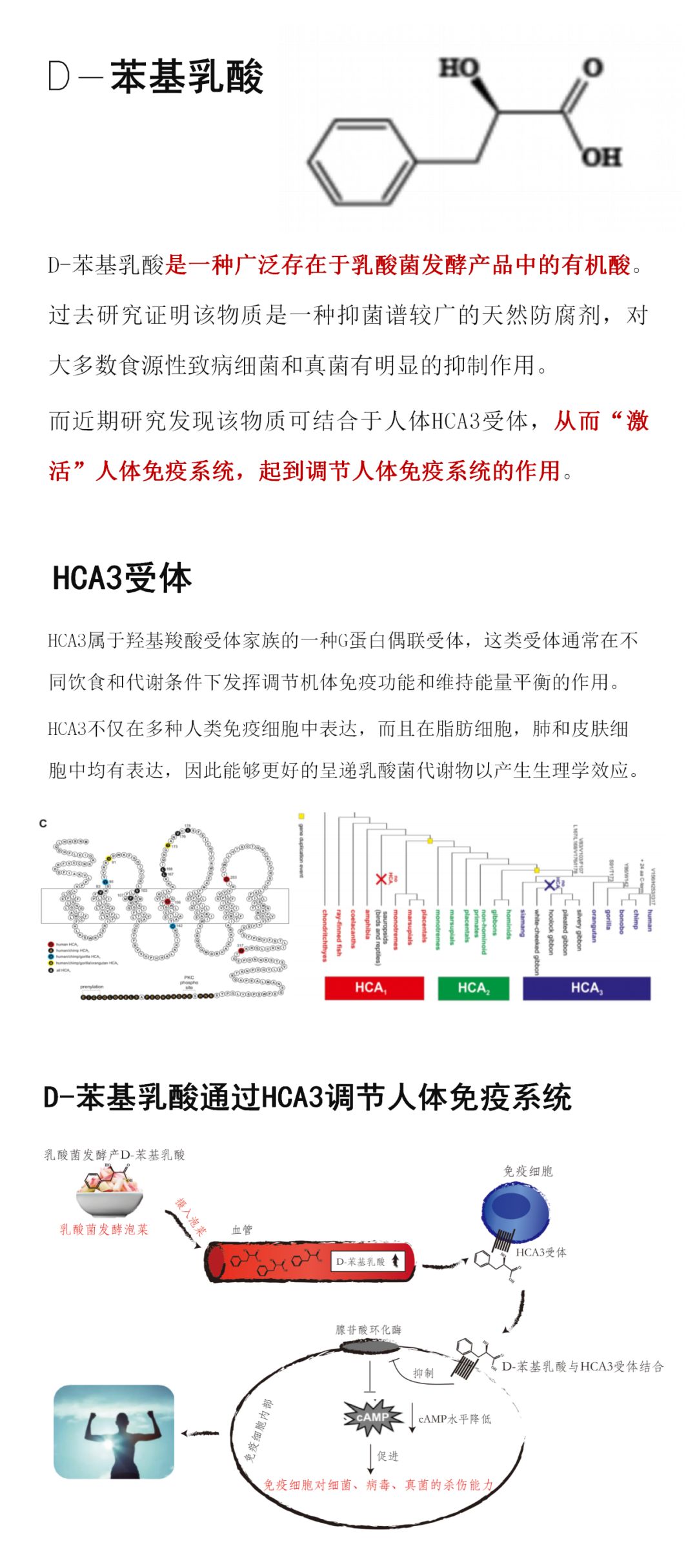 微信图片_20200723140116.jpg
