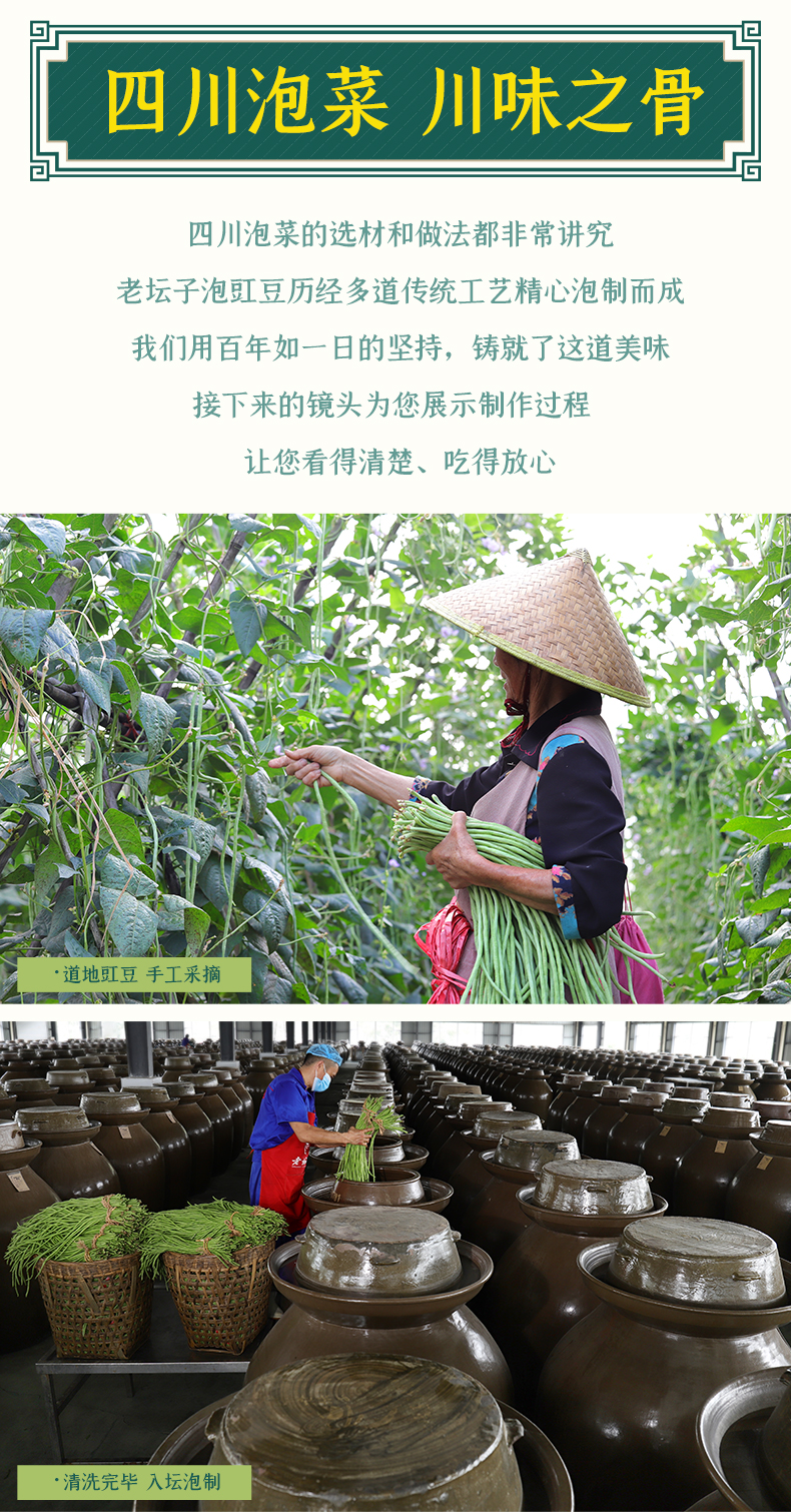 68g-香辣泡豇豆-24-9版_04.jpg